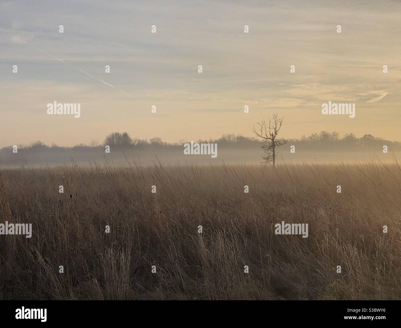 Field in December - Smartphone Captured Stock Image