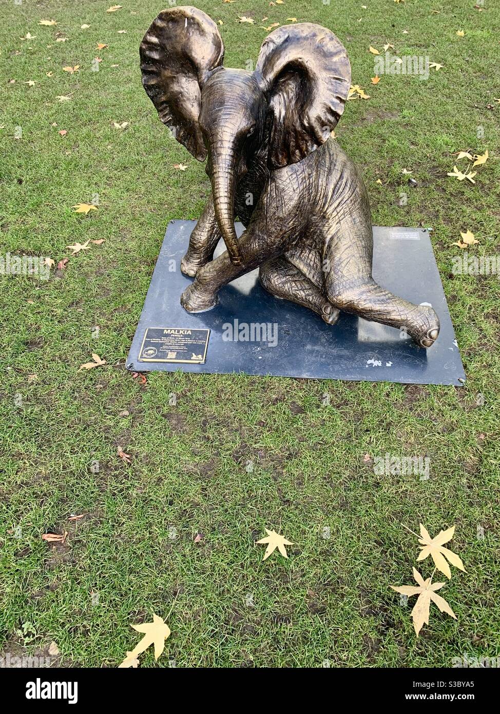 Elephant sculpture at spitalfields market London Stock Photo Alamy