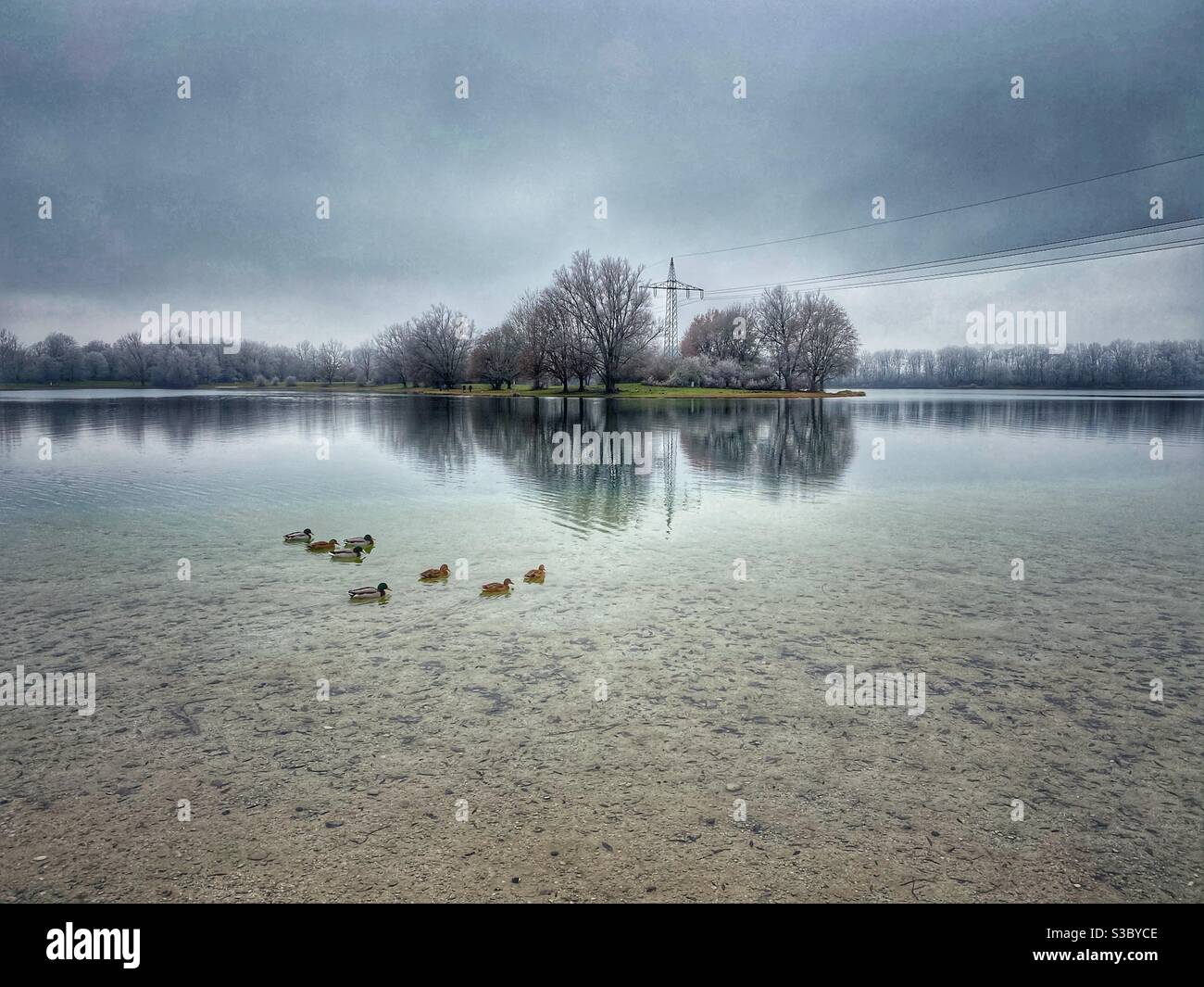 Lake Feringasee in Munich area on a dark winter day, Germany. - Smartphone Captured Stock Image
