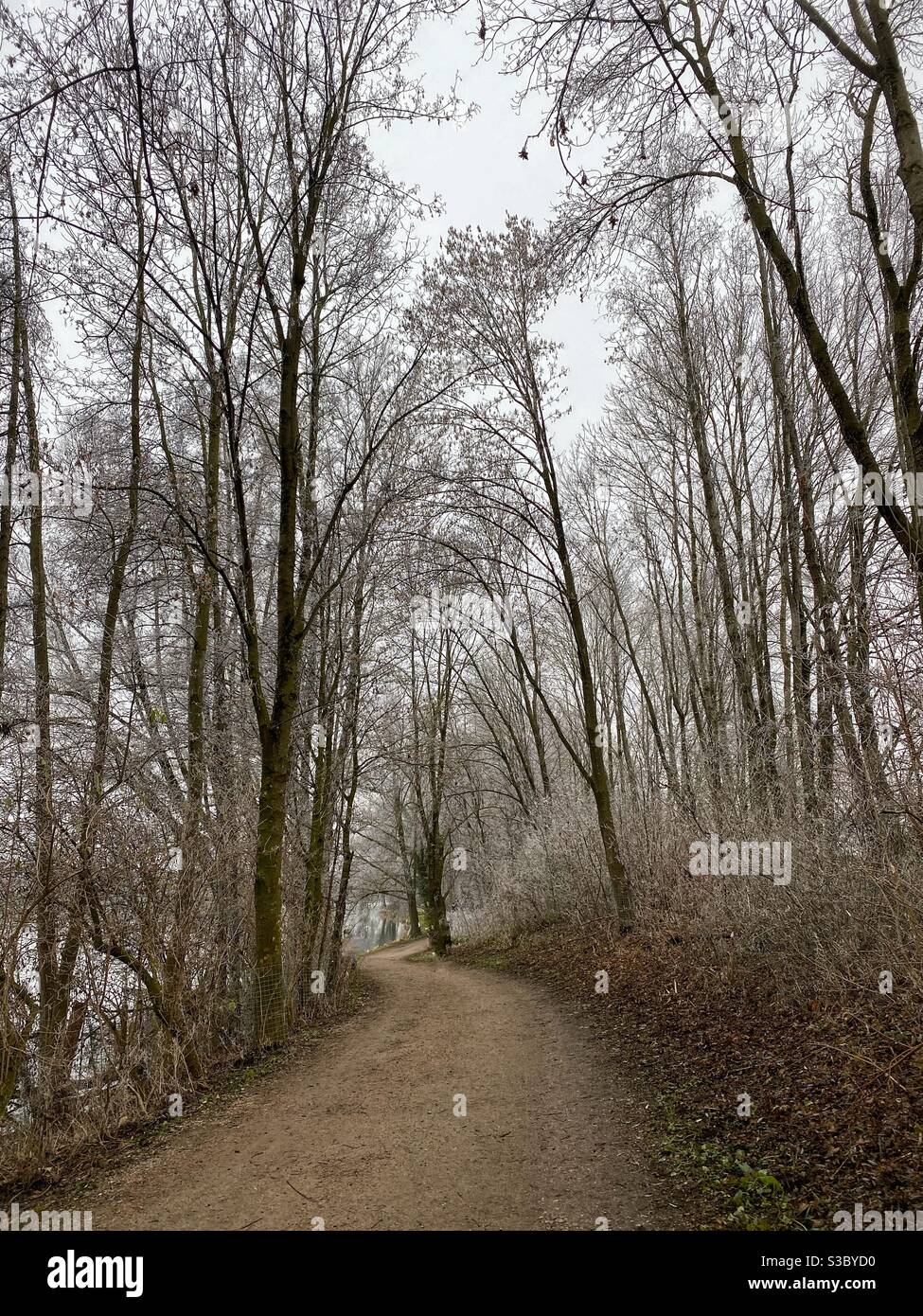 Walking path along lake Feringasee in Munich area, Germany. - Smartphone Captured Stock Image