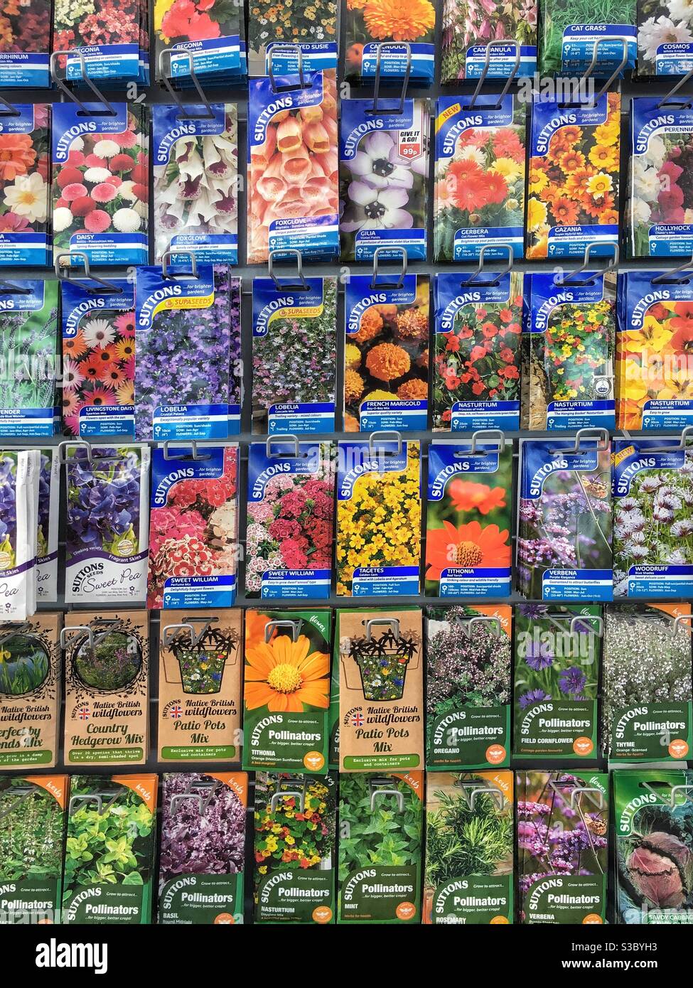 Colourful packets of flower seeds for sale, UK Stock Photo