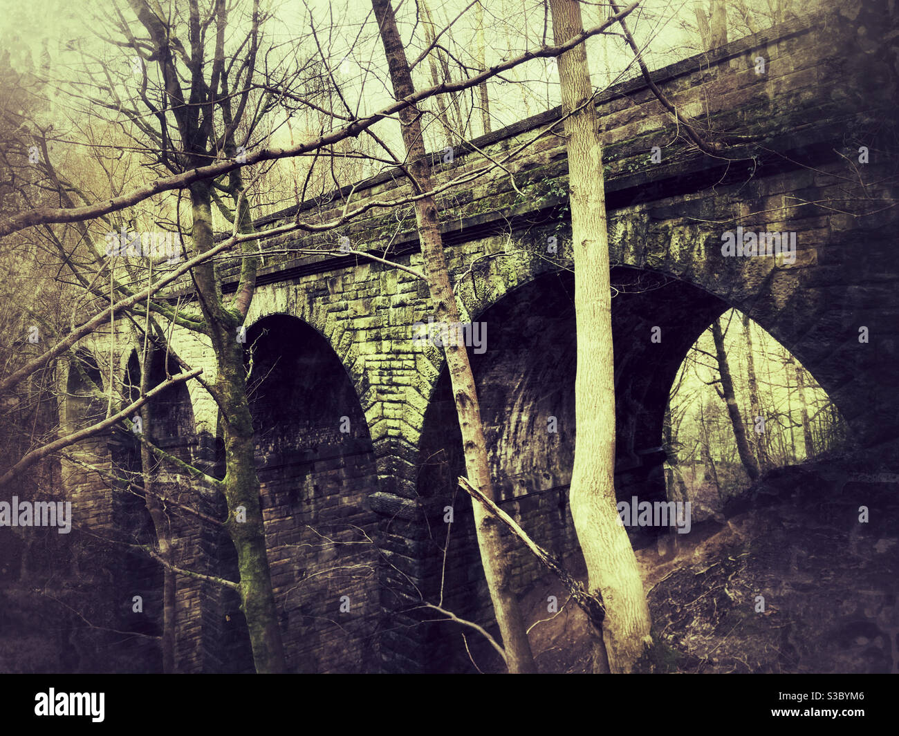 Abandoned railway viaduct Lobb Ghyll on the Skipton to Ilkley Line at Bolton Abbey North Yorkshire - Smartphone Captured Stock Image