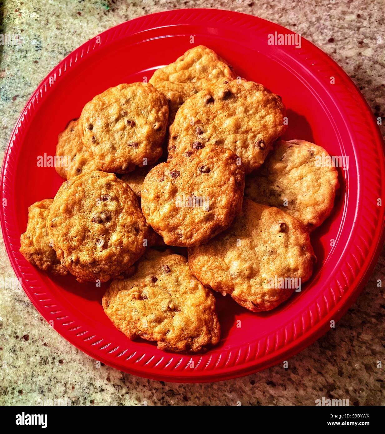 Who can resist a plate of warm home-baked chocolate chip cookies? Truly a gift of love! - Smartphone Captured Stock Image