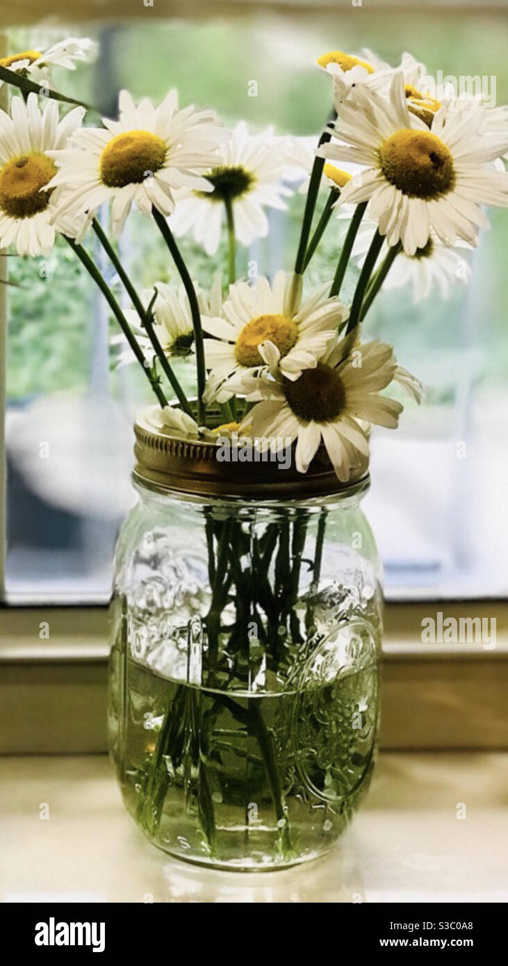 Vase of wildflowers Stock Photo - Alamy