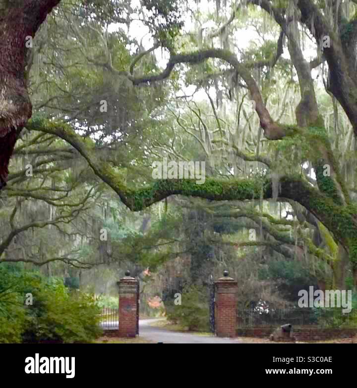 Charlestown Landing Historic Site, Charleston, South Carolina, USA - Smartphone Captured Stock Image