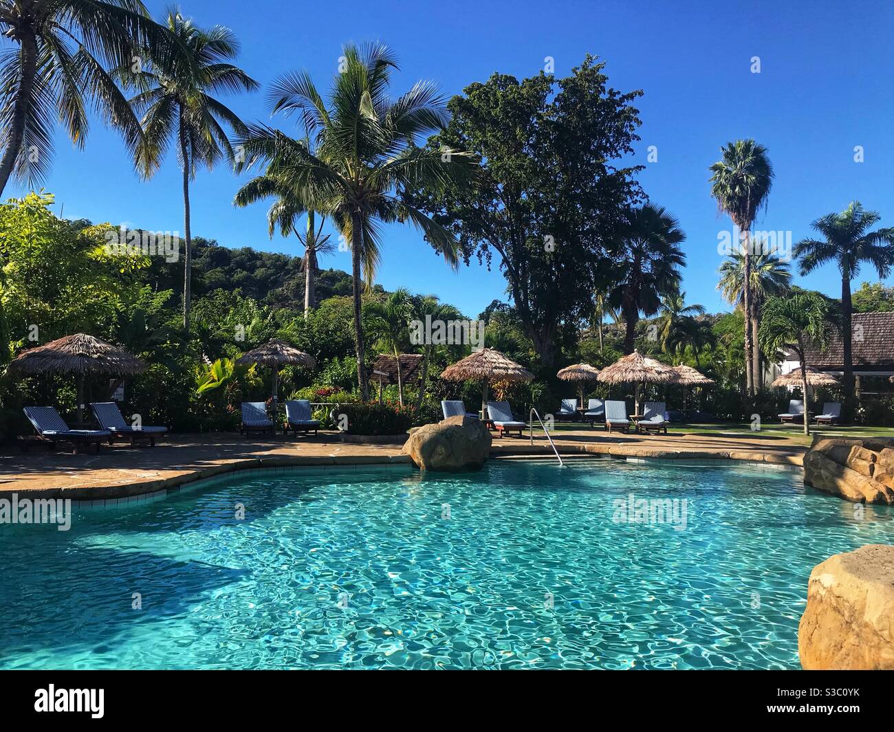 View of a swimming pool with Palm trees in the background at Galley Bay Resort and Spa In Antigua - Smartphone Captured Stock Image