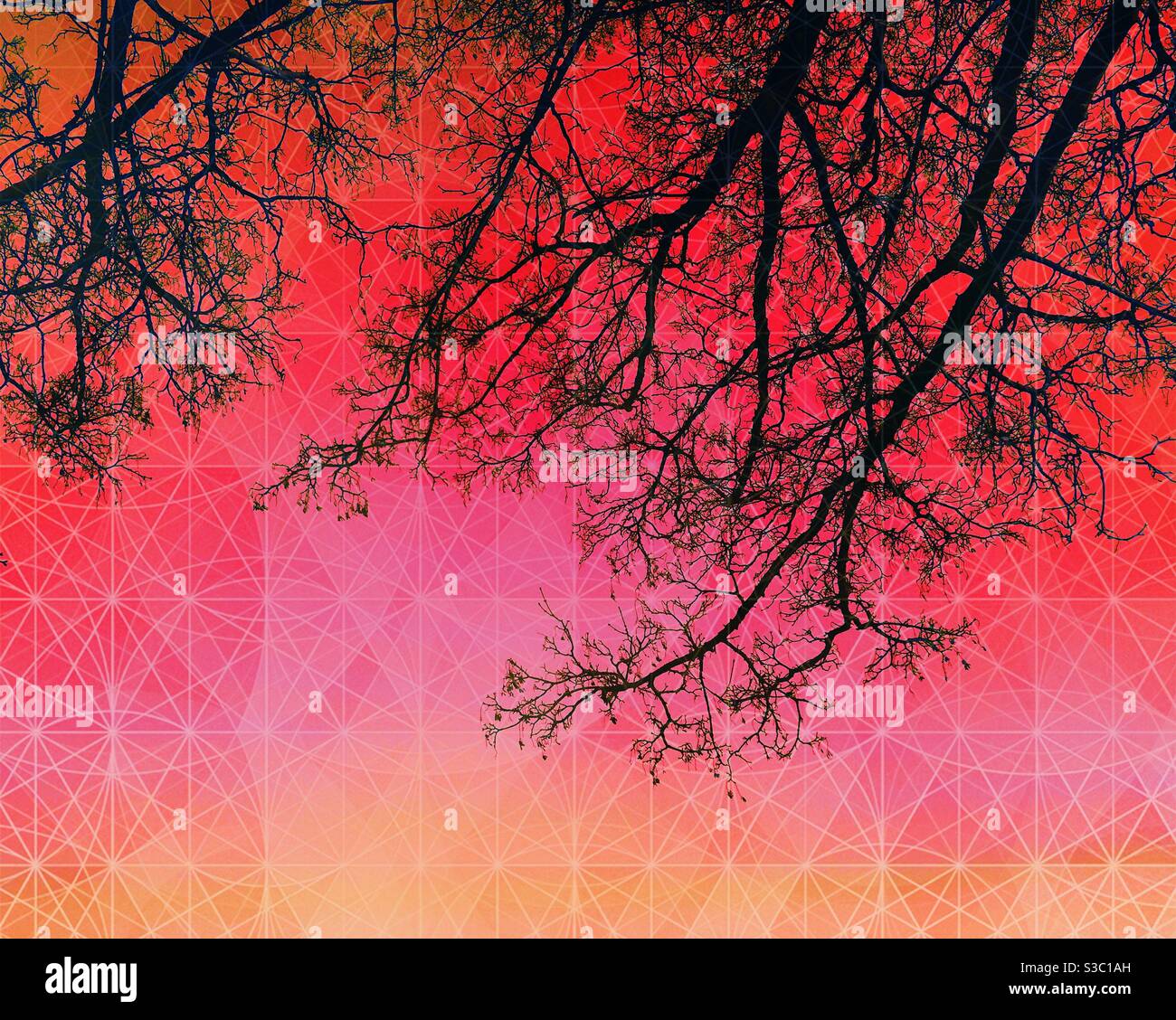 Pink orange red colours hi-res stock photography and images - Alamy