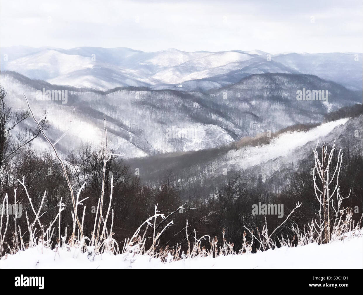 Snow capped mountains Stock Photo