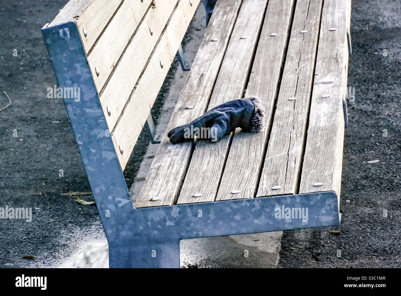 Lost glove left on a park bench - Smartphone Captured Stock Image