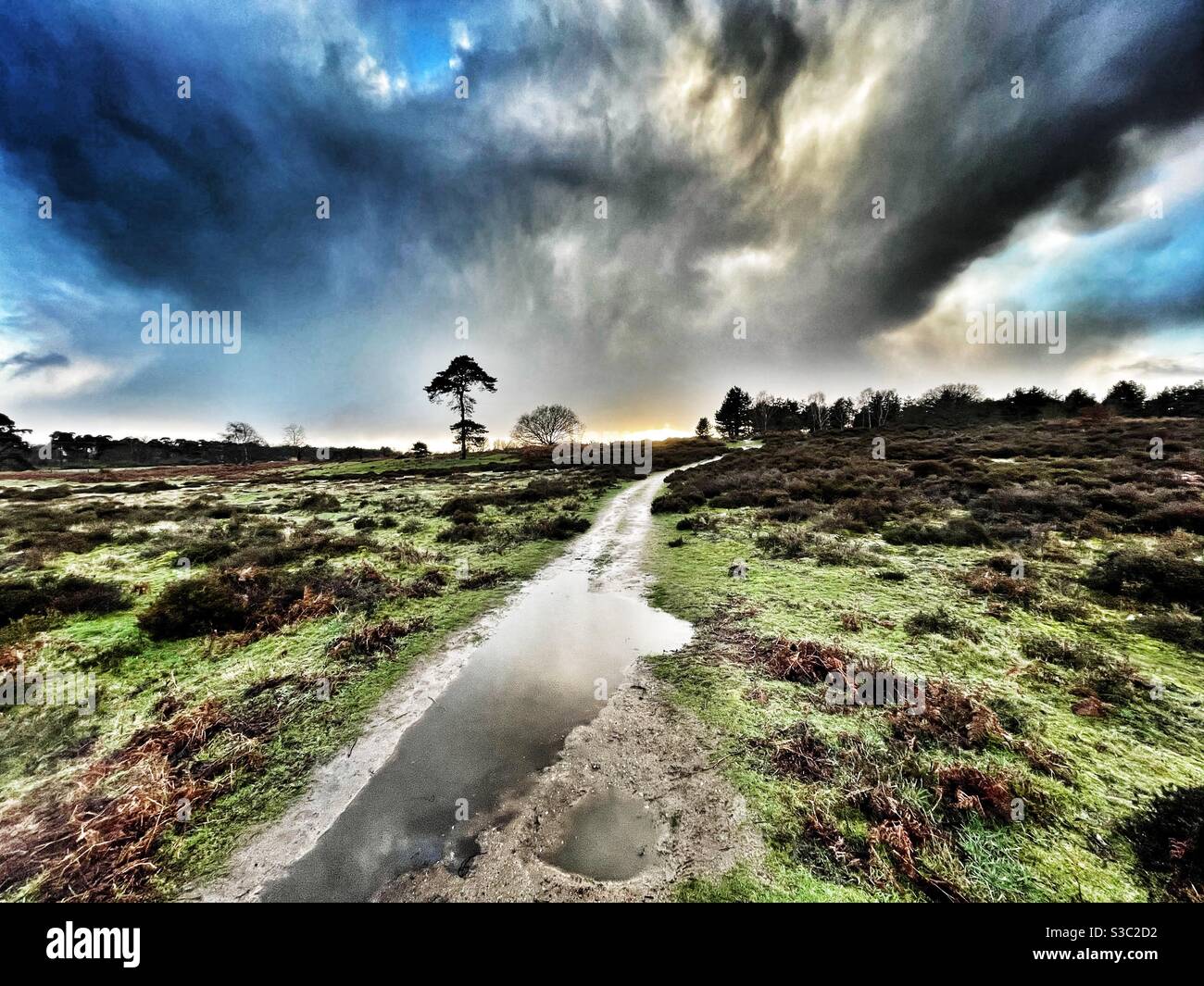 Public footpath Sutton Heath Suffolk - Smartphone Captured Stock Image
