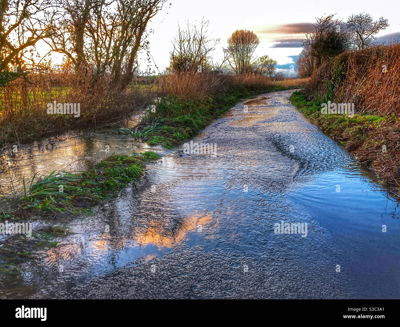 Flooded lane with sunset reflection after heavy rainfall in winter, East Chinnock, Somerset, England Stock Photo
