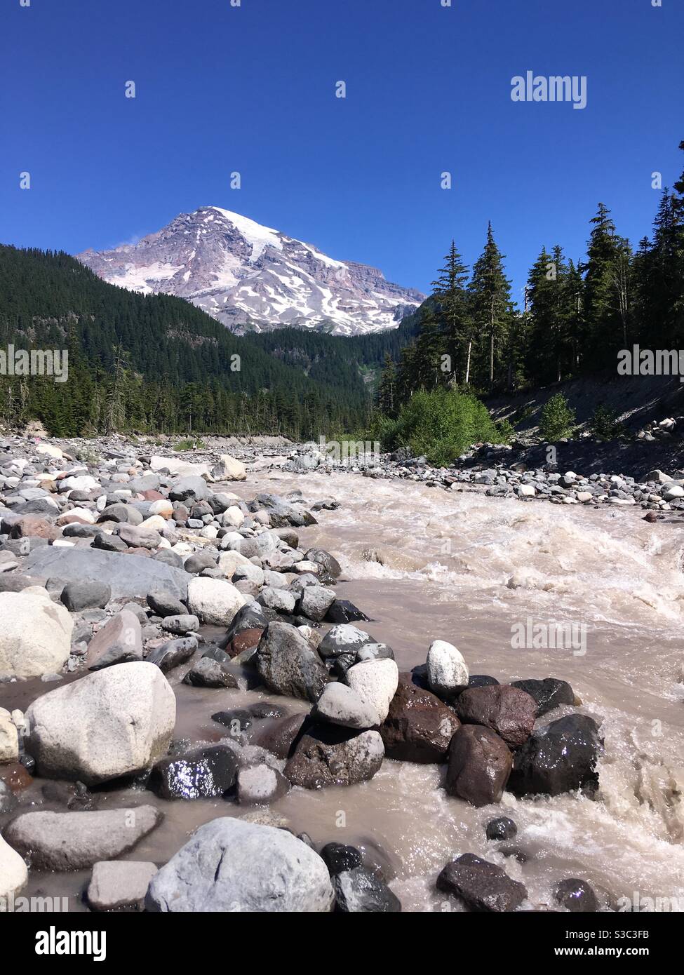 Mount Rainier and Nisqually River Stock Photo