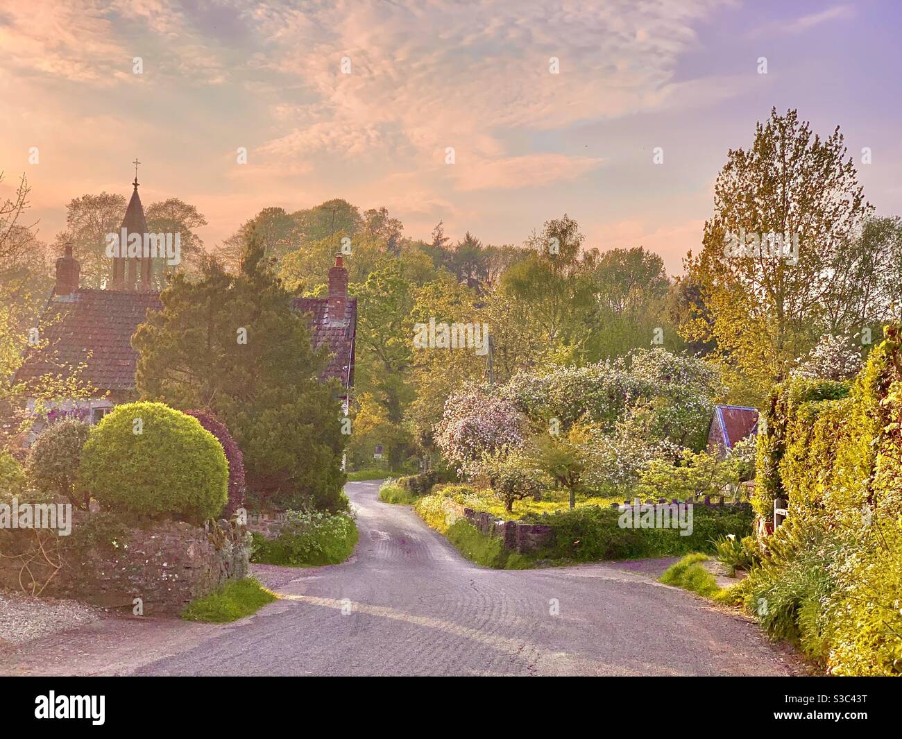 Pretty English village setting in April at sunset, cottage and church spire in Greenham, Somerset, England Stock Photo