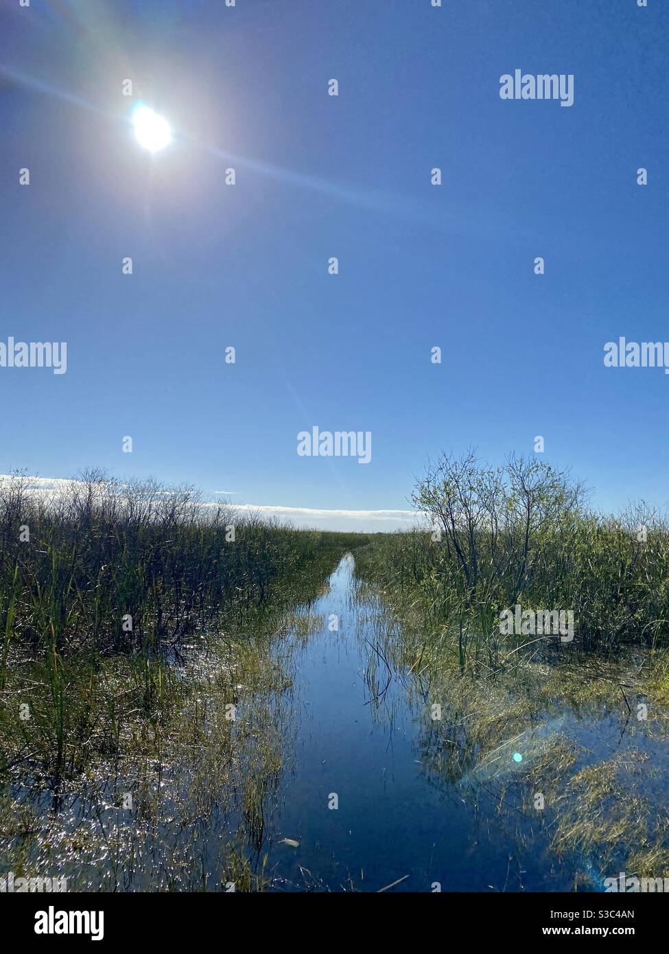 Swamp tour of the Everglades National Park in Florida. - Smartphone Captured Stock Image