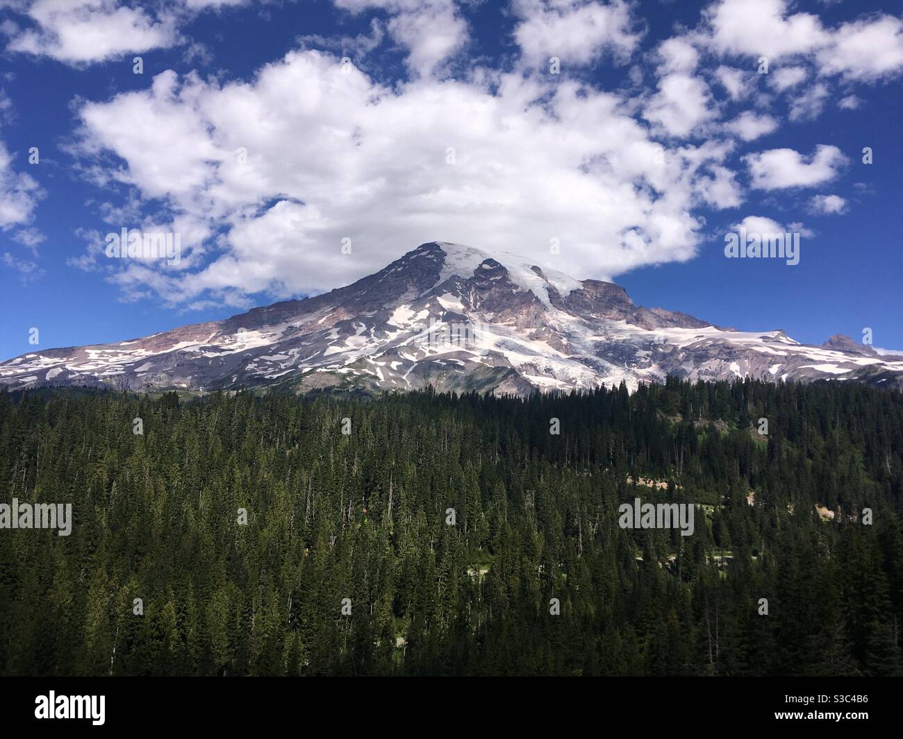 Mount Rainier National Park Stock Photo