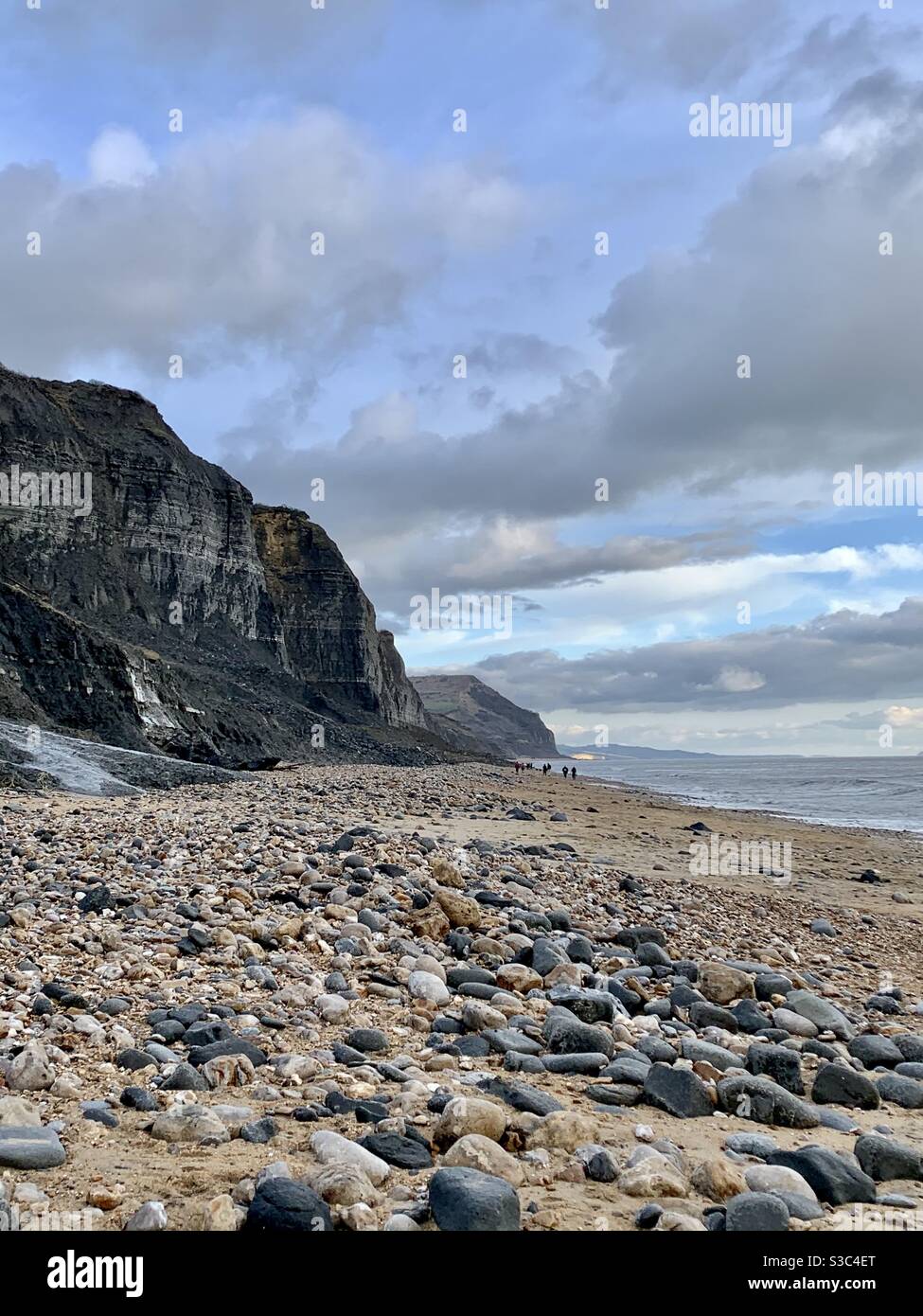 Fossil hunting under the dark cliffs of Charmouth Beach in Dorset after storm Bella. Stock Photo