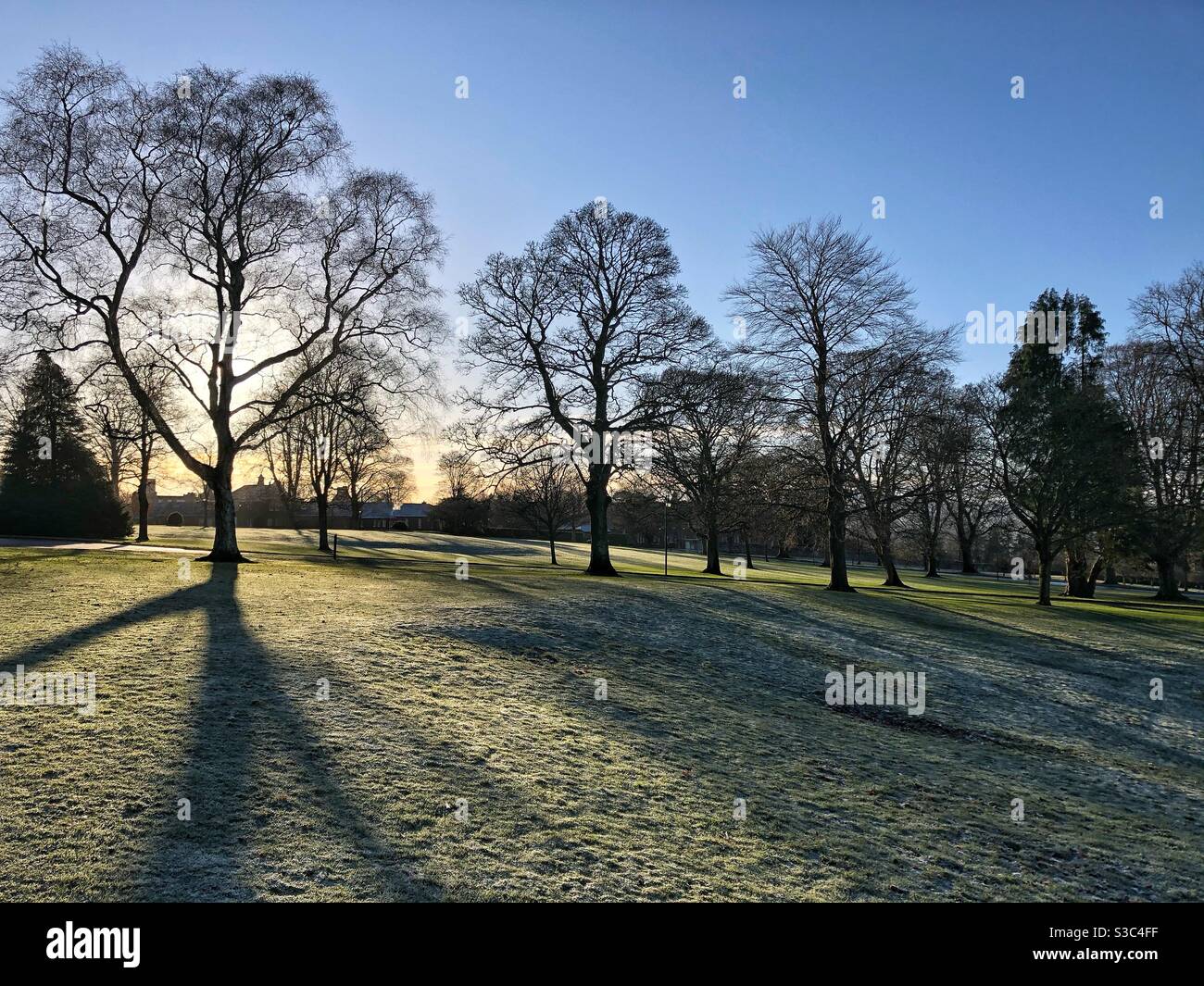Winter sunlight and frost at the Crichton campus, Dumfries, Scotland.  The campus is home to a wide variety of users, educational and commercial. - Smartphone Captured Stock Image