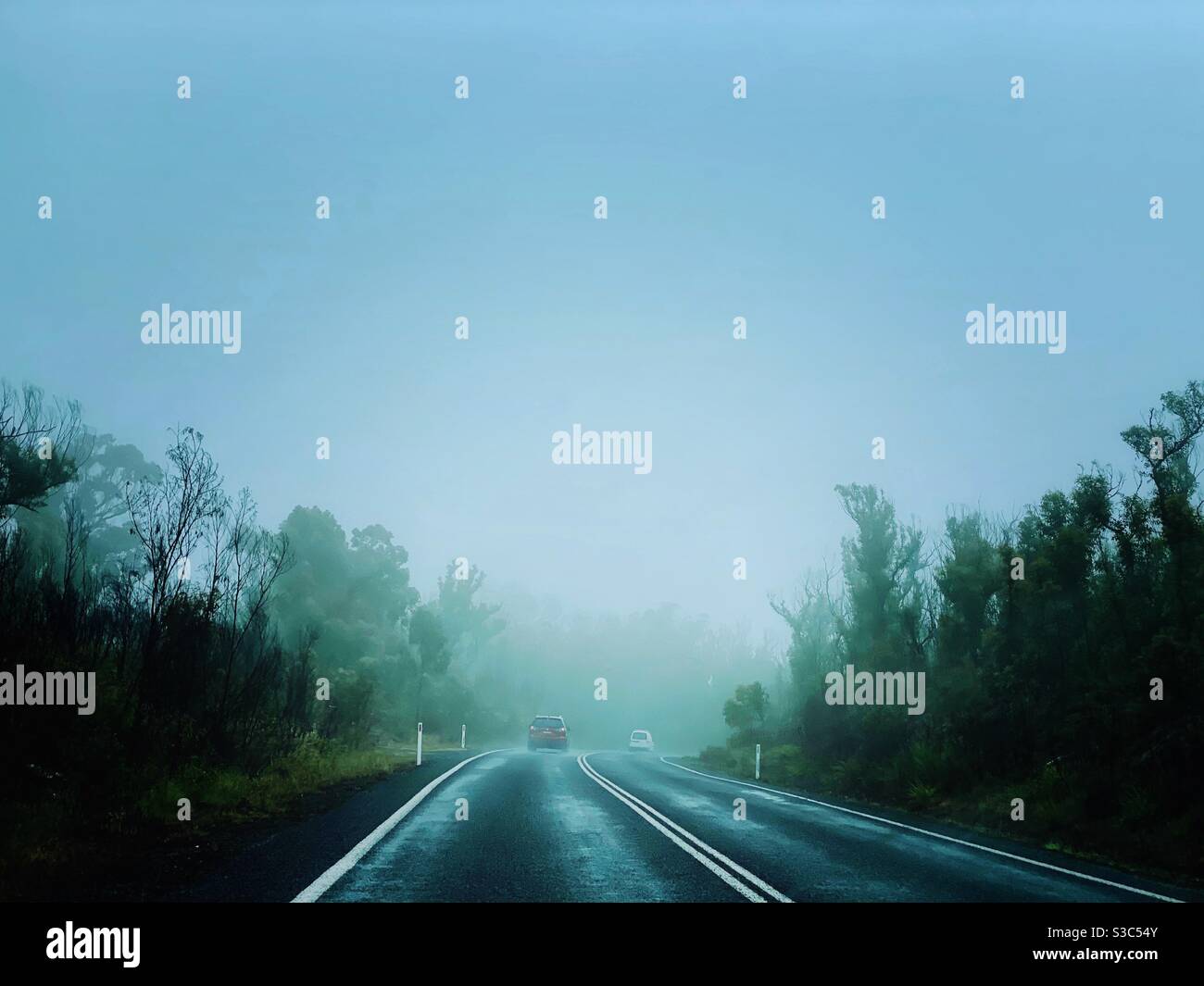 Rear view of two cars travelling on road through the forest on a misty, rainy day. Landscape background for travel and road trip. Stock Photo