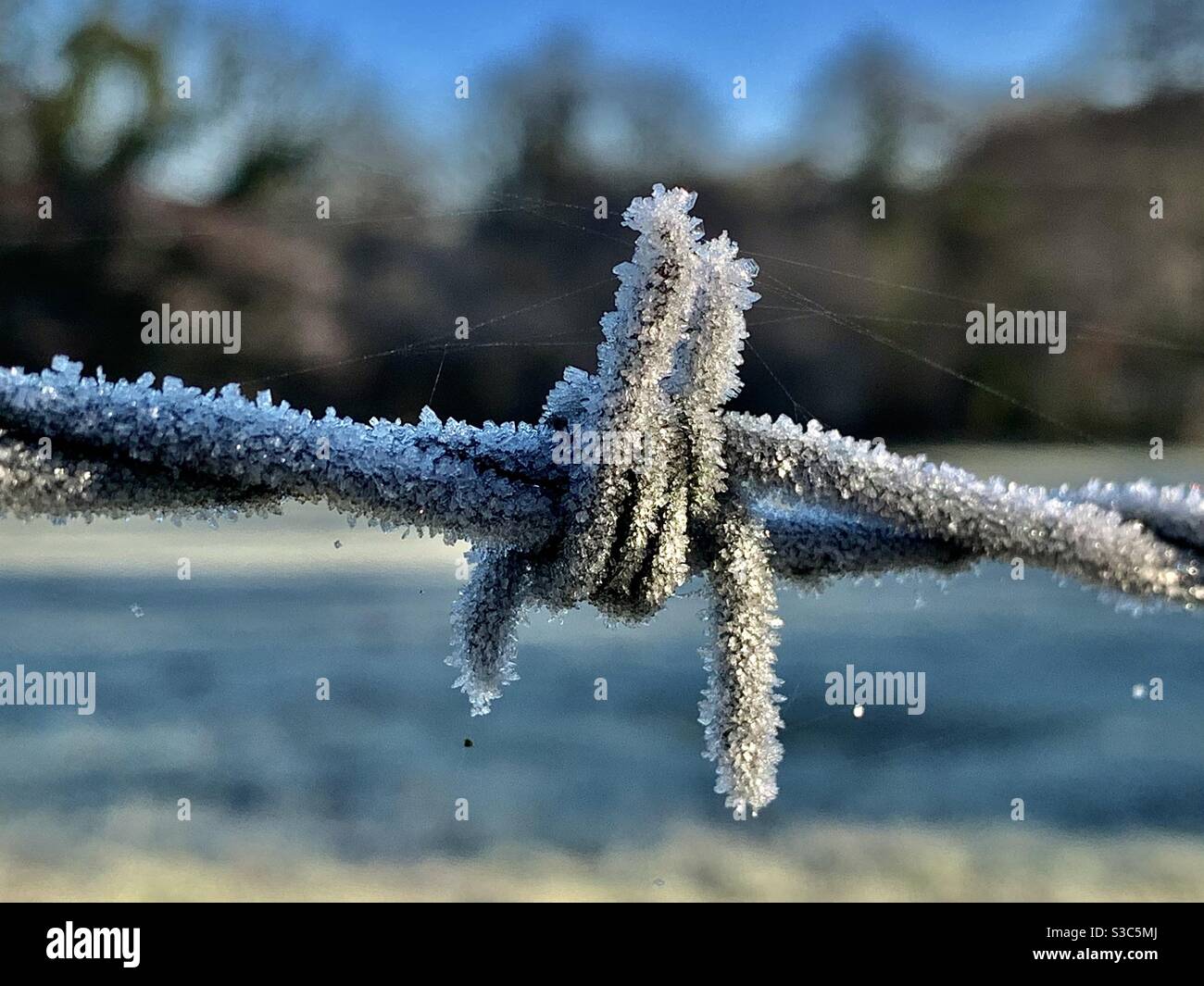 Frost and ice crystals on barbed wire on a winter morning in cold Greenham, Somerset England Stock Photo