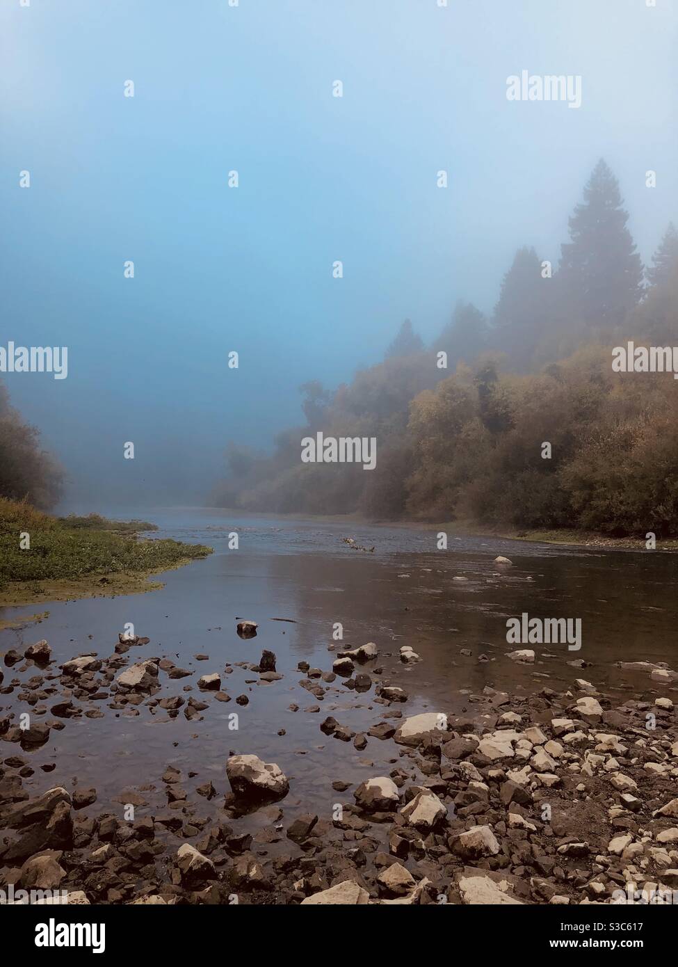 Guerneville California High Resolution Stock Photography And Images Alamy