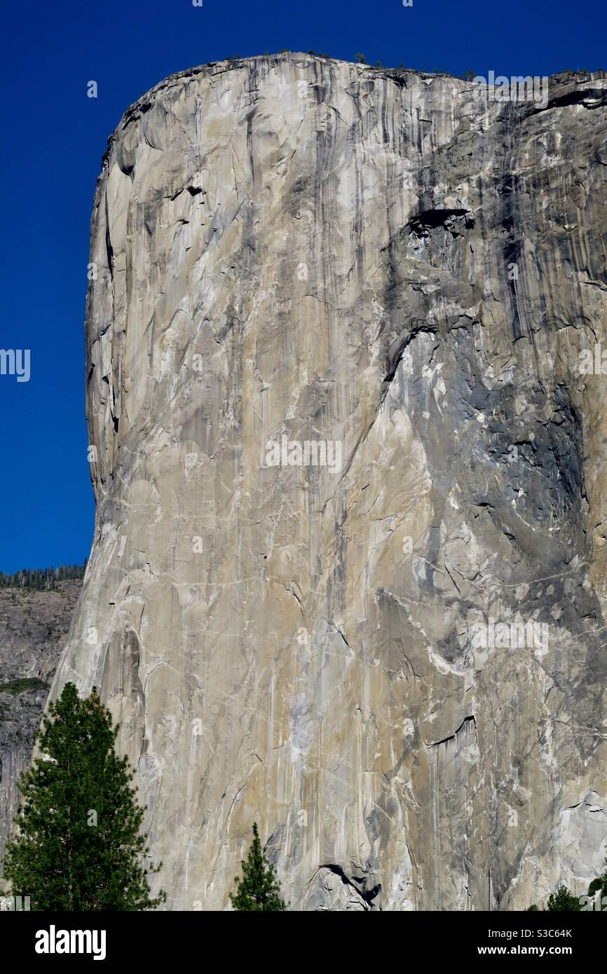 Magnificent El Capitan sheer vertical granite cliff in Yosemite national park, California, USA Stock Photo