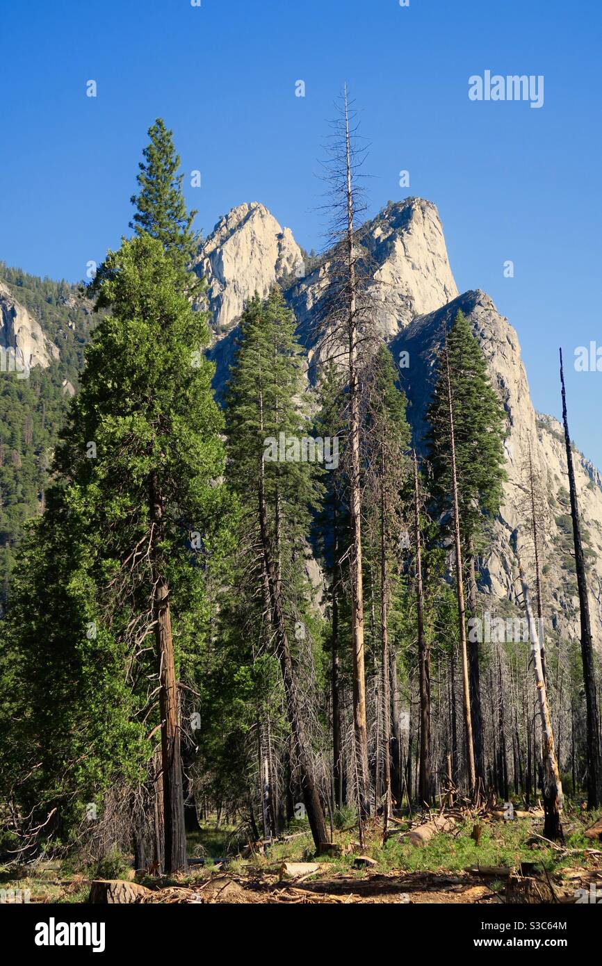 The three brothers hi-res stock photography and images - Alamy