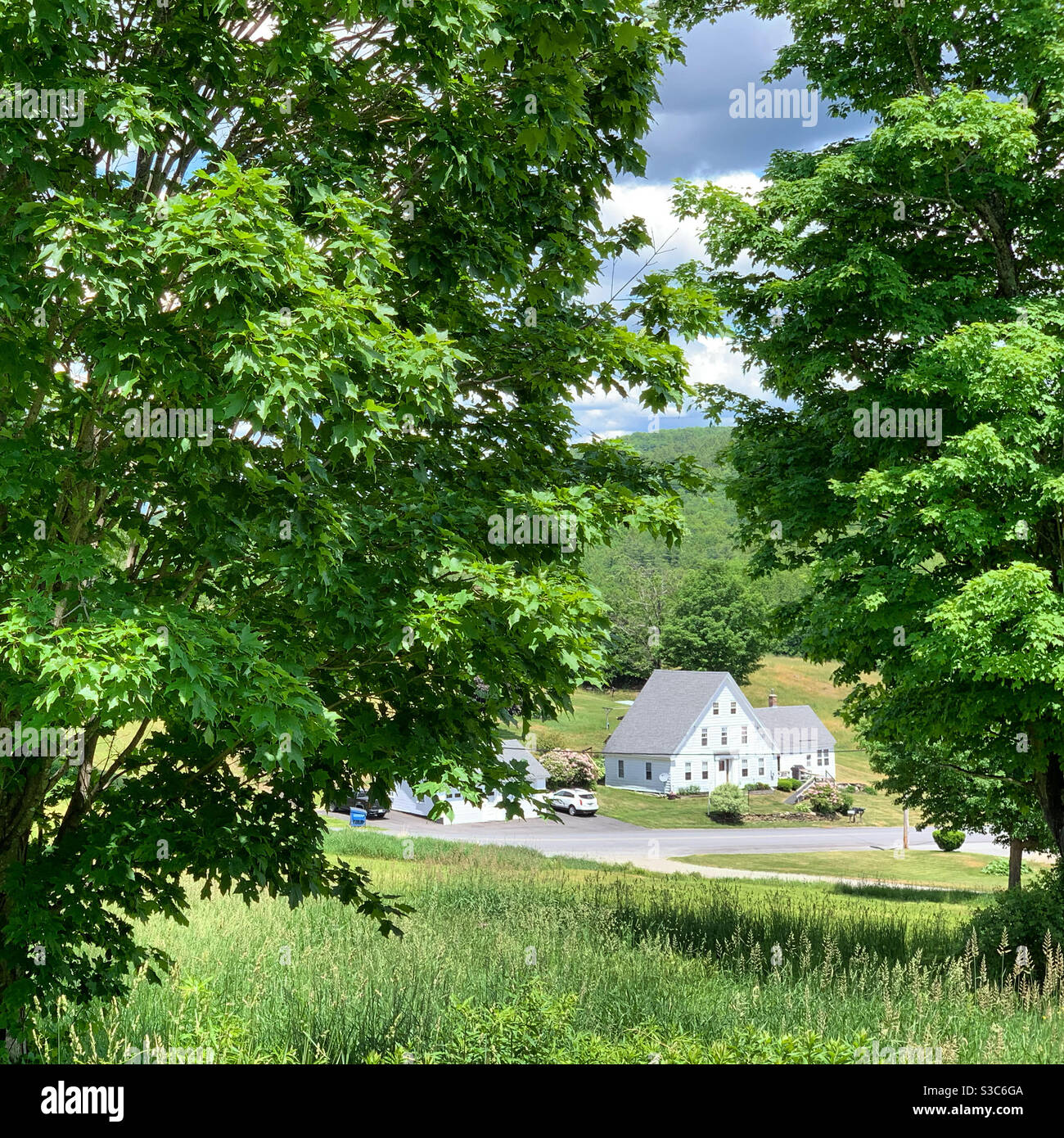 June, 2020. Looking towards a home in the small town of Leyden, Massachusetts, United States - Smartphone Captured Stock Image