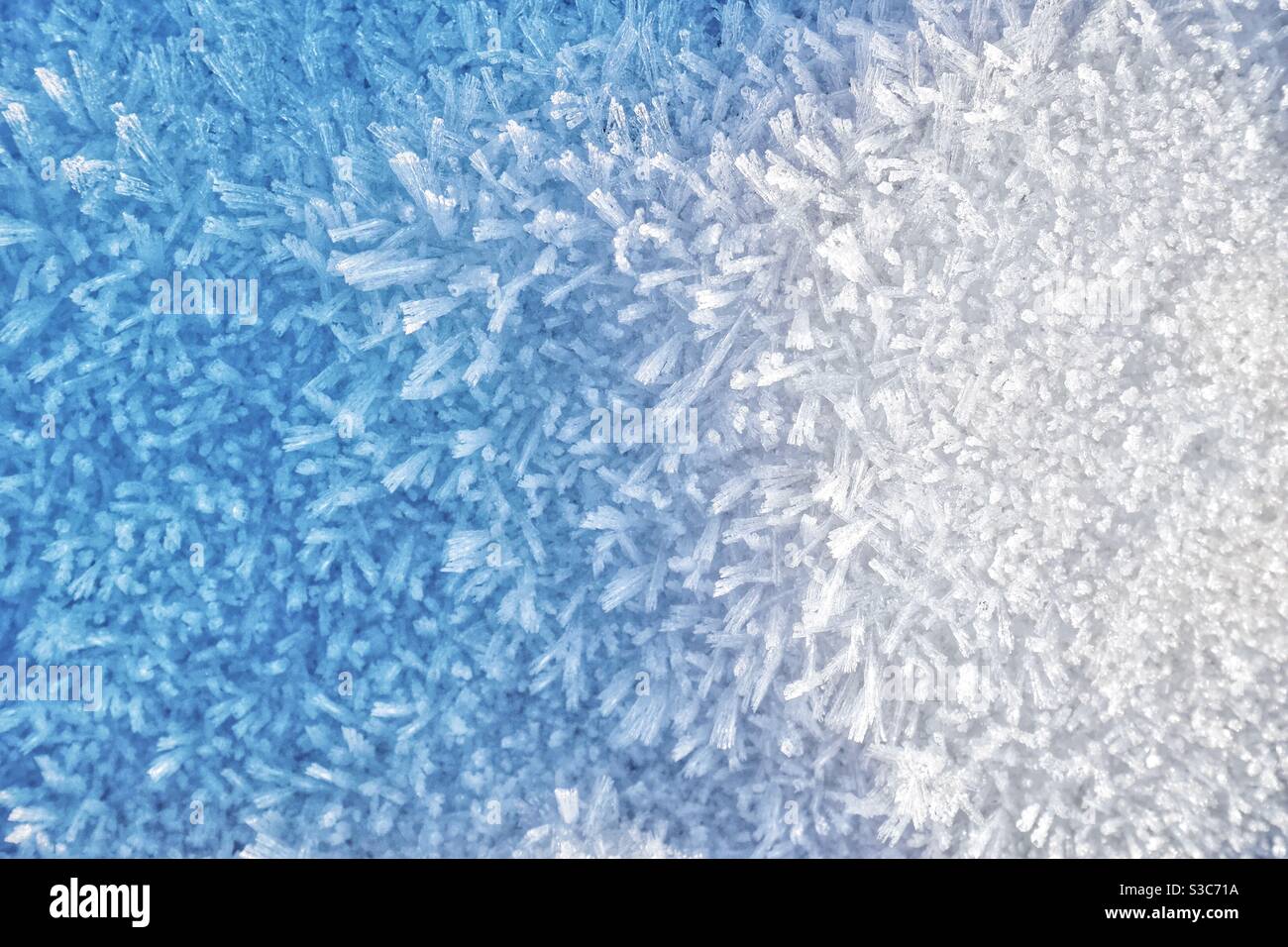 Snow and frost crystals Stock Photo