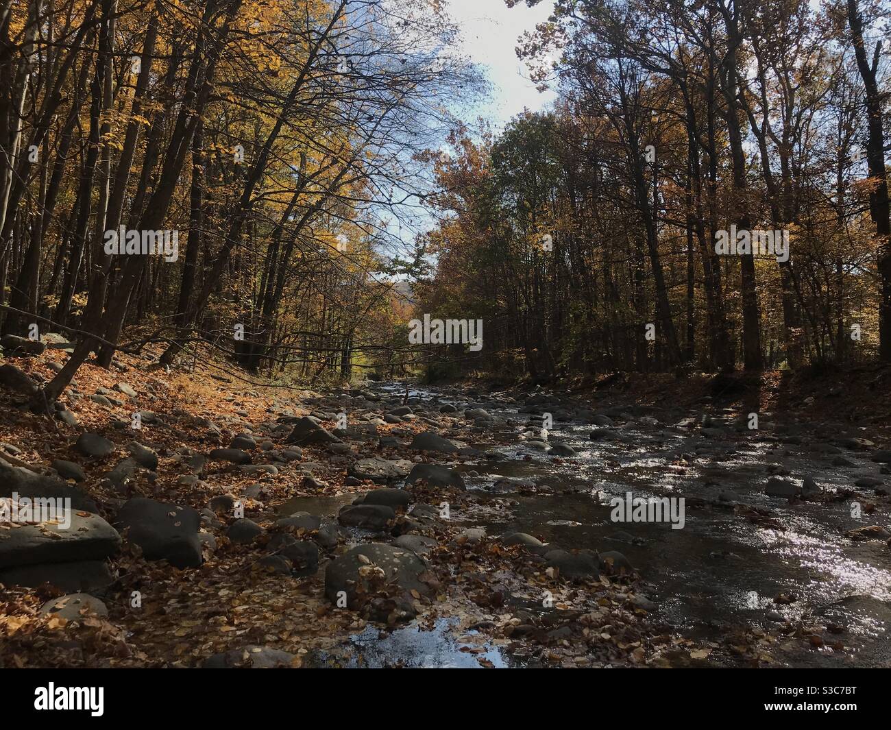 Sawkill Creek on an autumn day in Woodstock, NY. Stock Photo