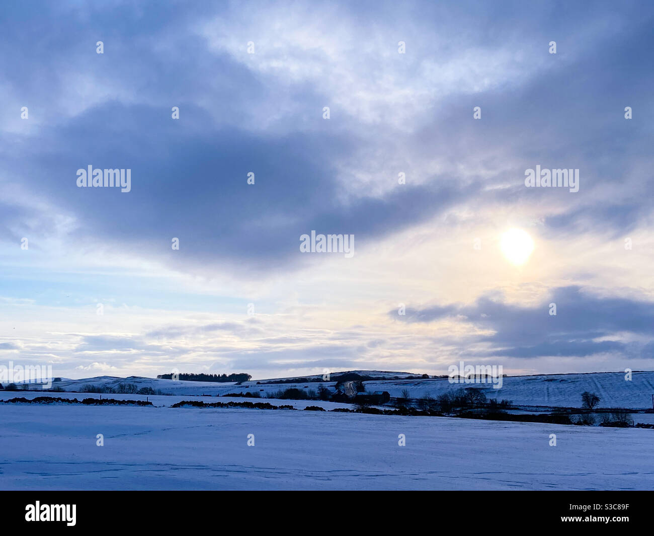Winter walks - Smartphone Captured Stock Image