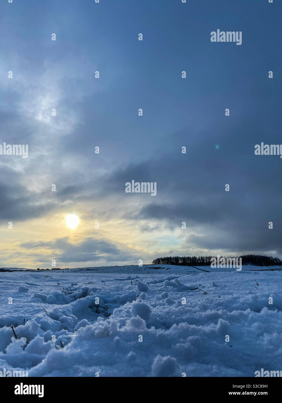 Winter walks - Smartphone Captured Stock Image