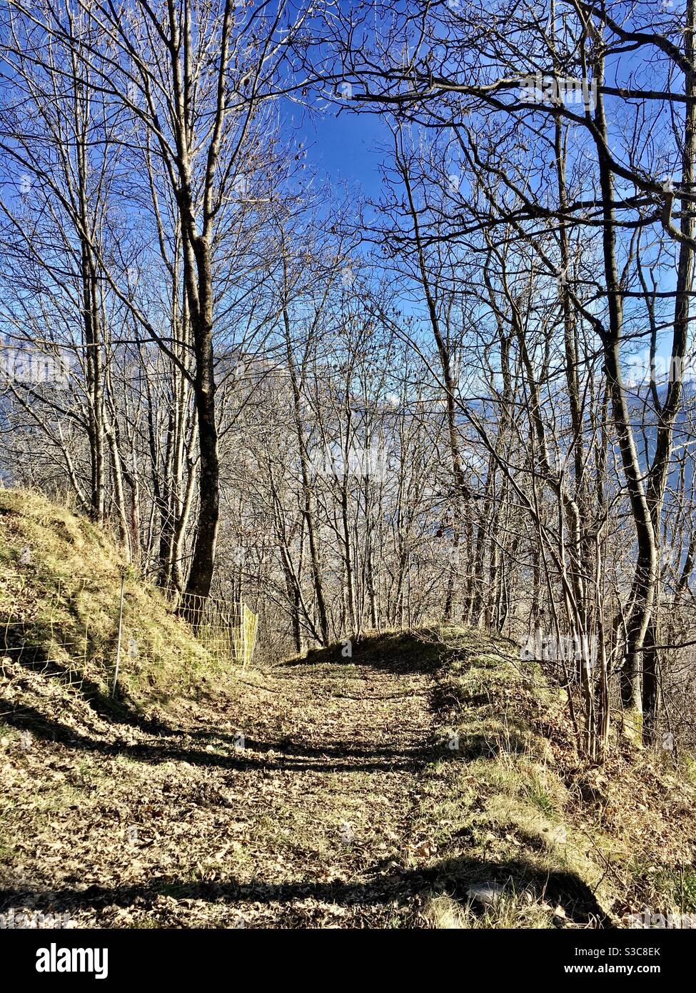 Chemin de promenade randonnée d’automne à Jarrier Maurienne Savoie Rhône-Alpes Stock Photo
