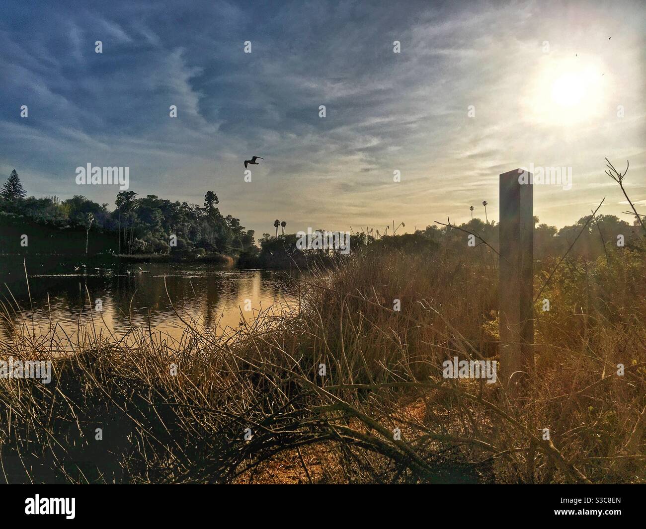 A ten foot tall monolith with the words “Peace on Earth” appeared on Christmas Day at Andree Clark Bird Refuge in Santa Barbara, California USA - Smartphone Captured Stock Image