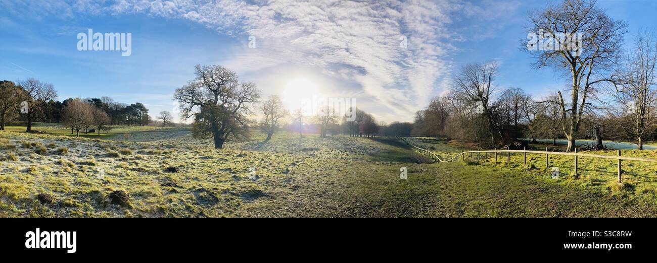 Frosty morning walk Stock Photo