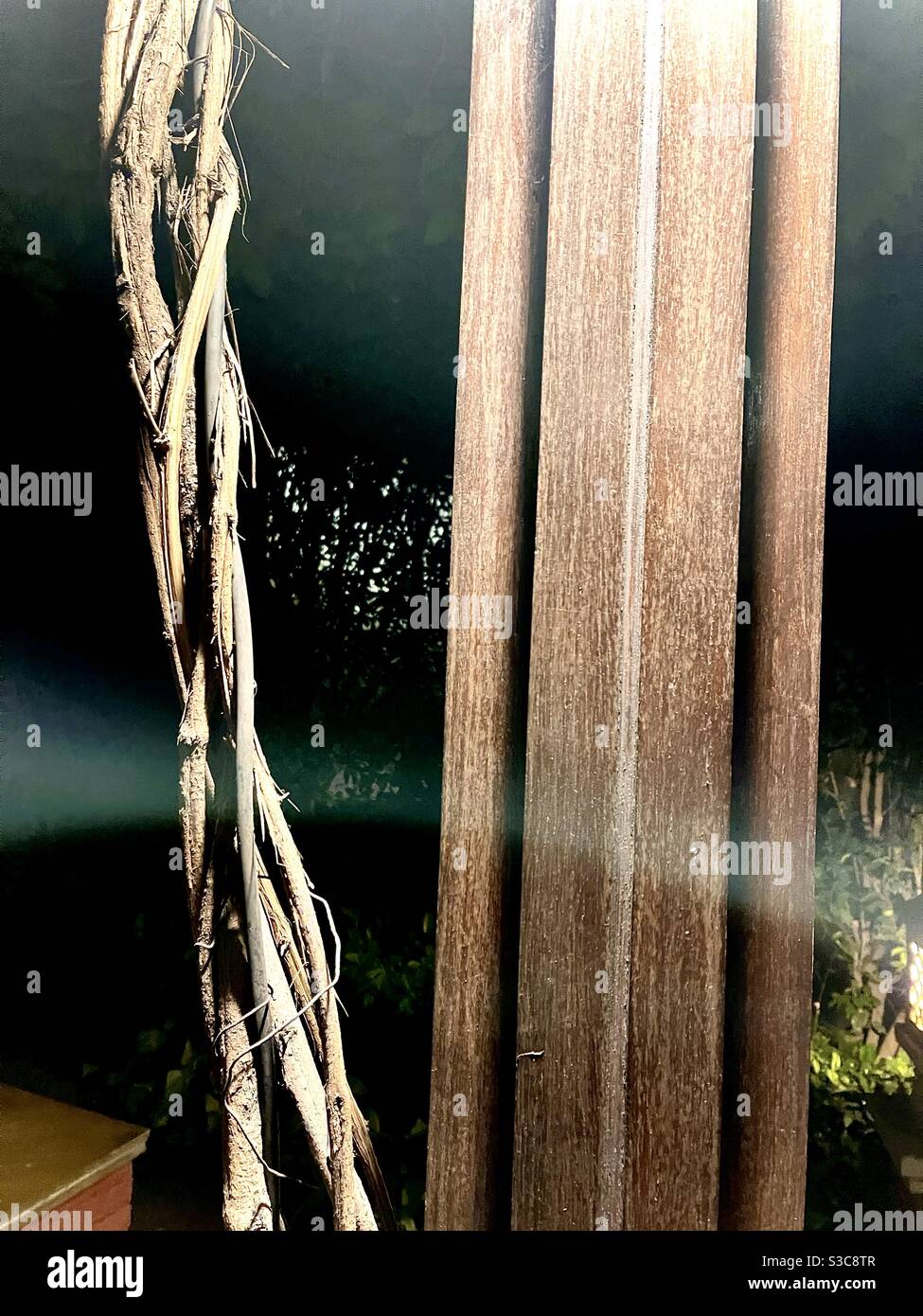 Dry wood decoration-night lighting Stock Photo