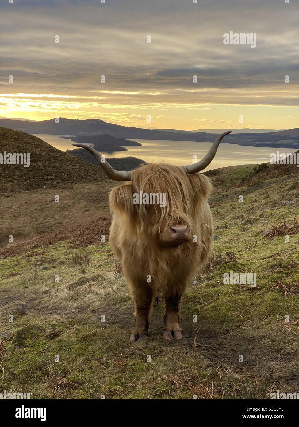 Conic Hill, Scotland Stock Photo