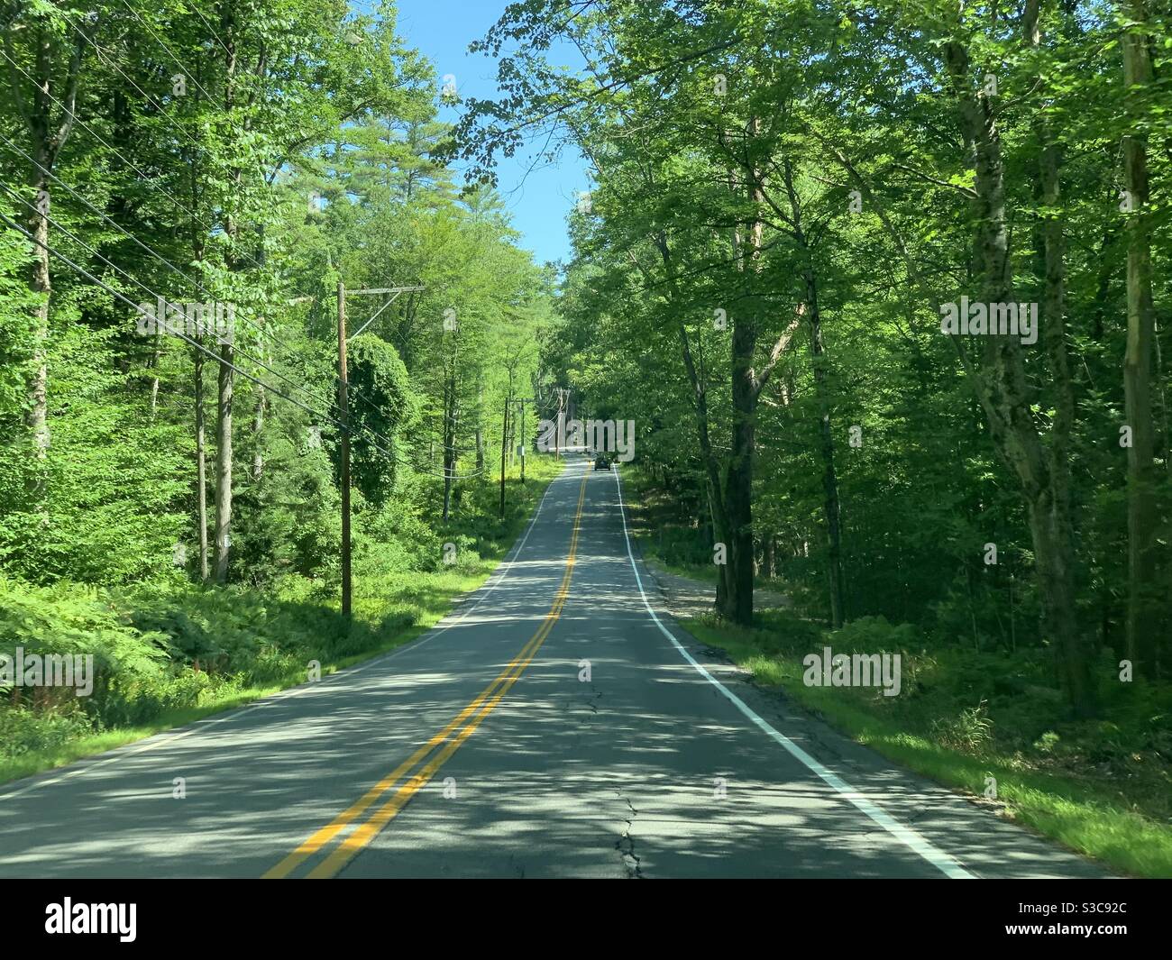 Weather in Holderness New Hampshire
		Regional Climate Patterns and Recreational Activities