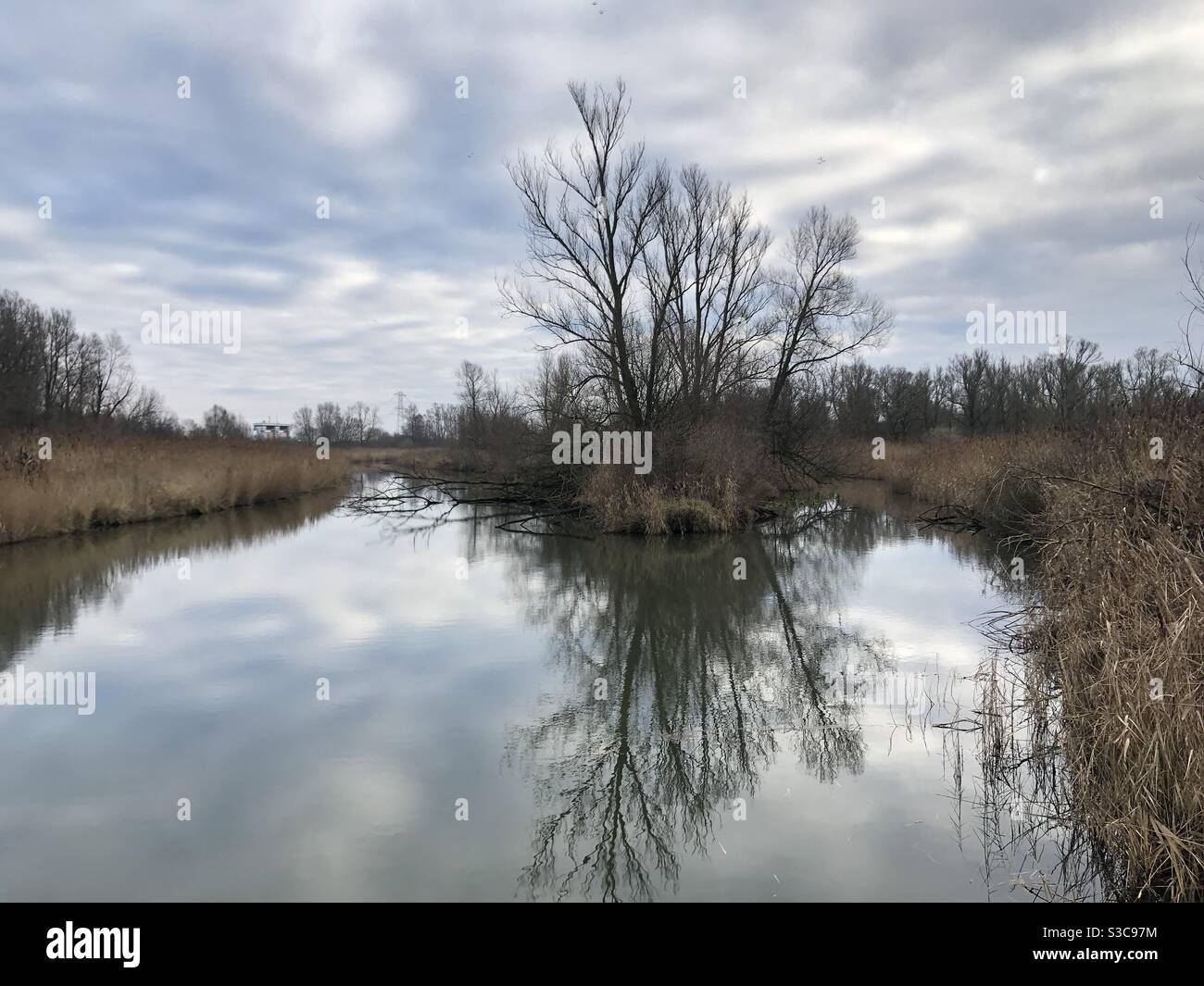 National swamp reclamation hires stock photography and images Alamy