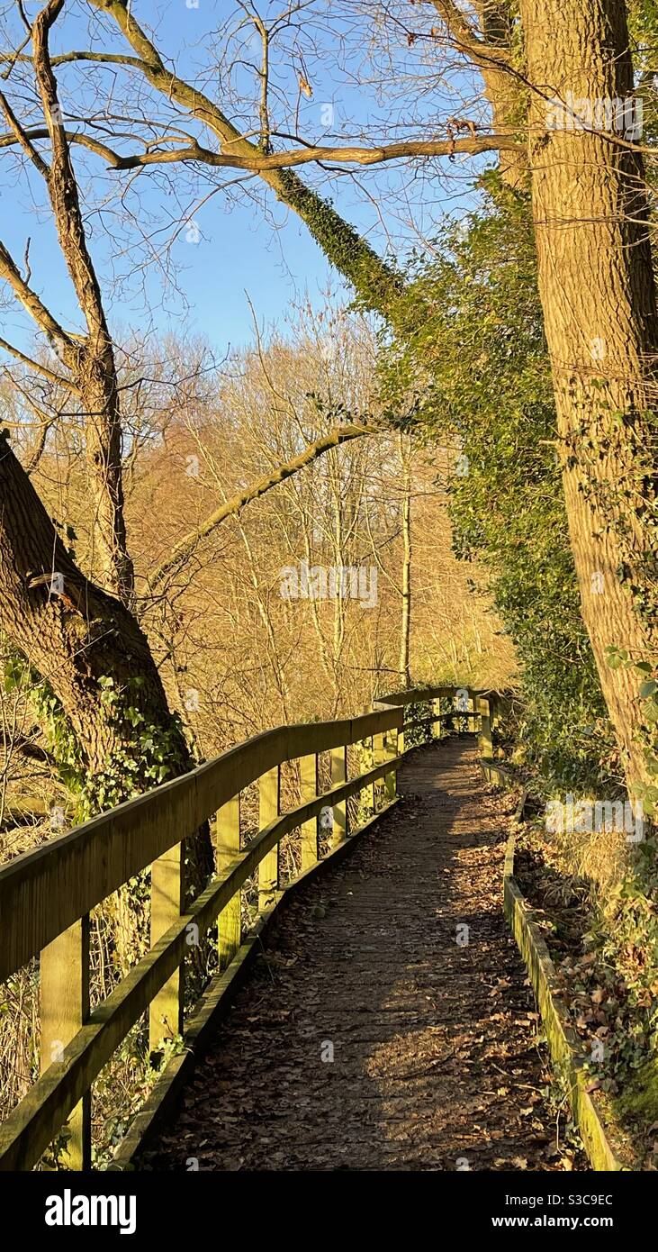 Winsford flashes, river weaver walk between flash meadow and the marina - Smartphone Captured Stock Image