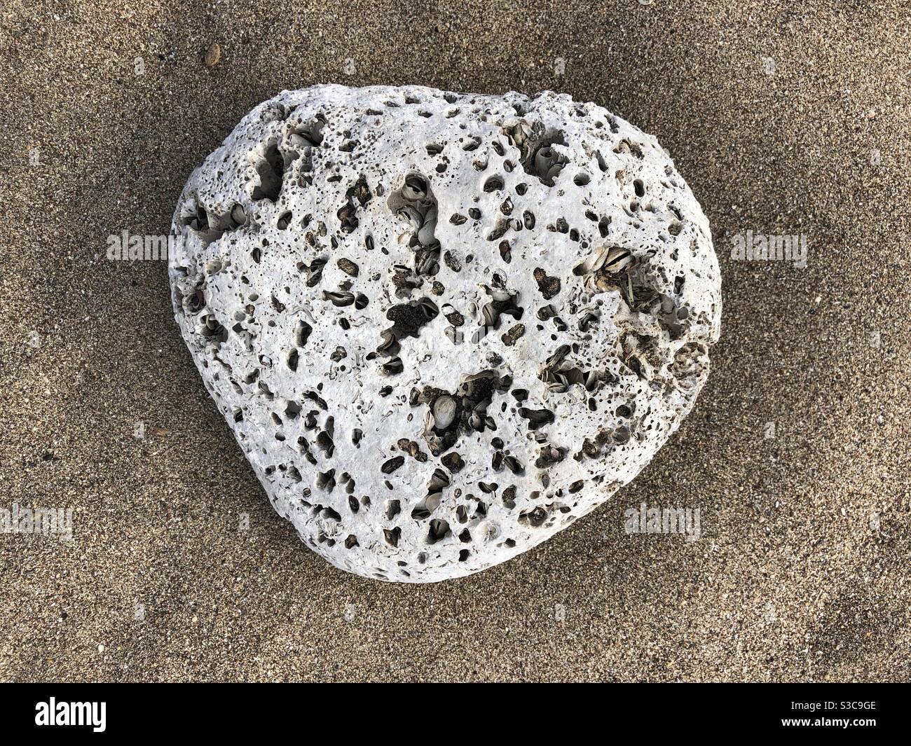 Textured rock with holes on sandy beach - Smartphone Captured Stock Image