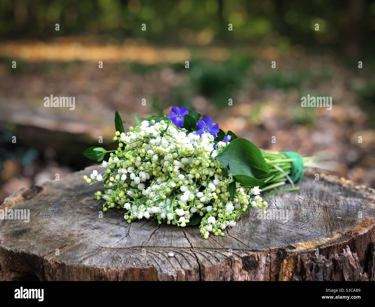 Lily of the valley bouquet placed on a wooden log - Smartphone Captured Stock Image