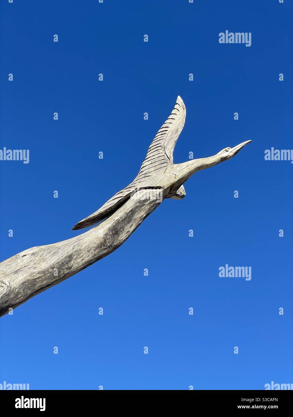 Bird carved into a tree branch with deep blue sky background by artist Marlin Miller - Smartphone Captured Stock Image
