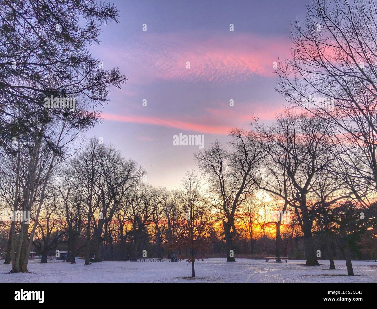 A romantic winter sunset. - Smartphone Captured Stock Image