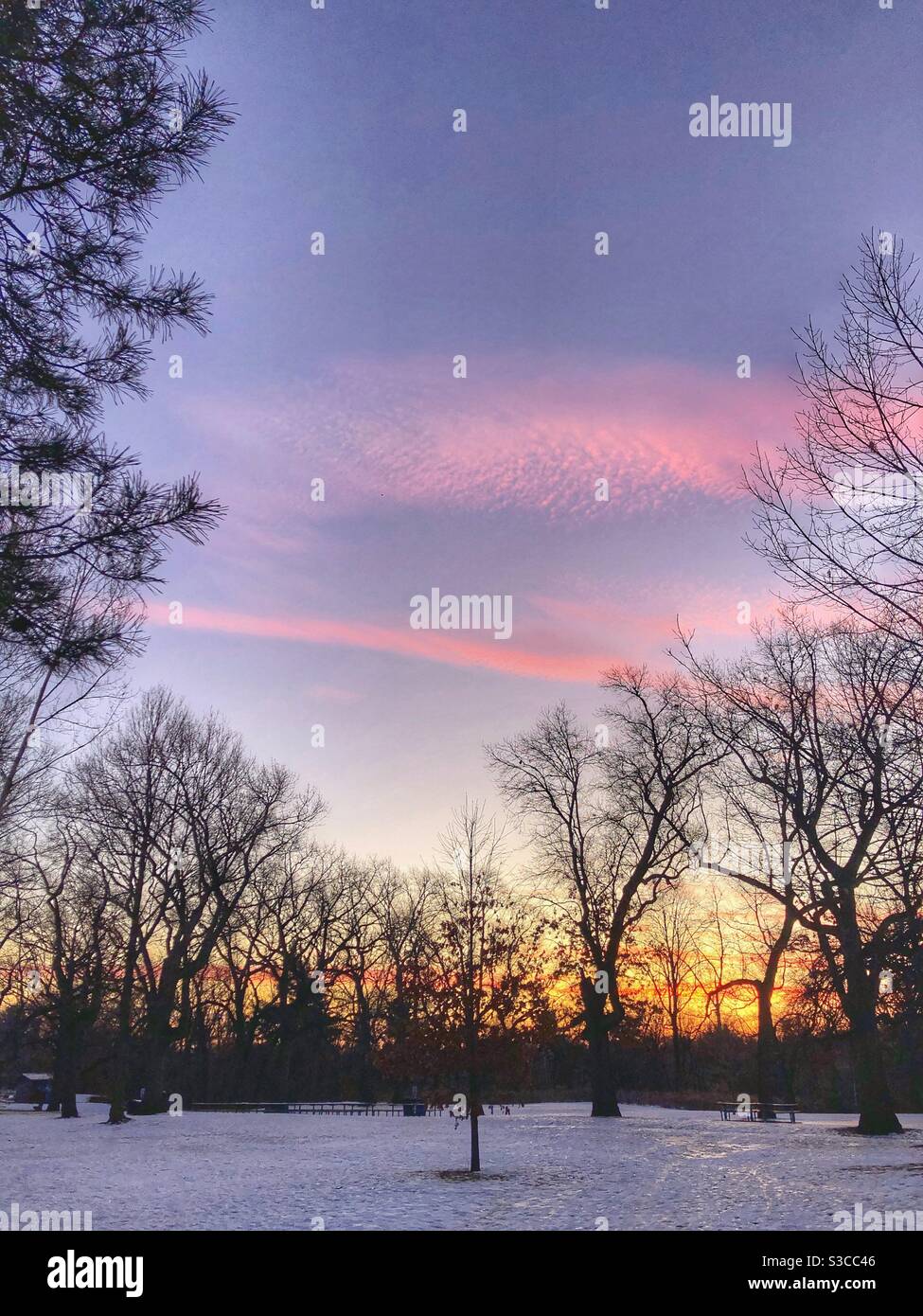 A romantic winter landscape. - Smartphone Captured Stock Image