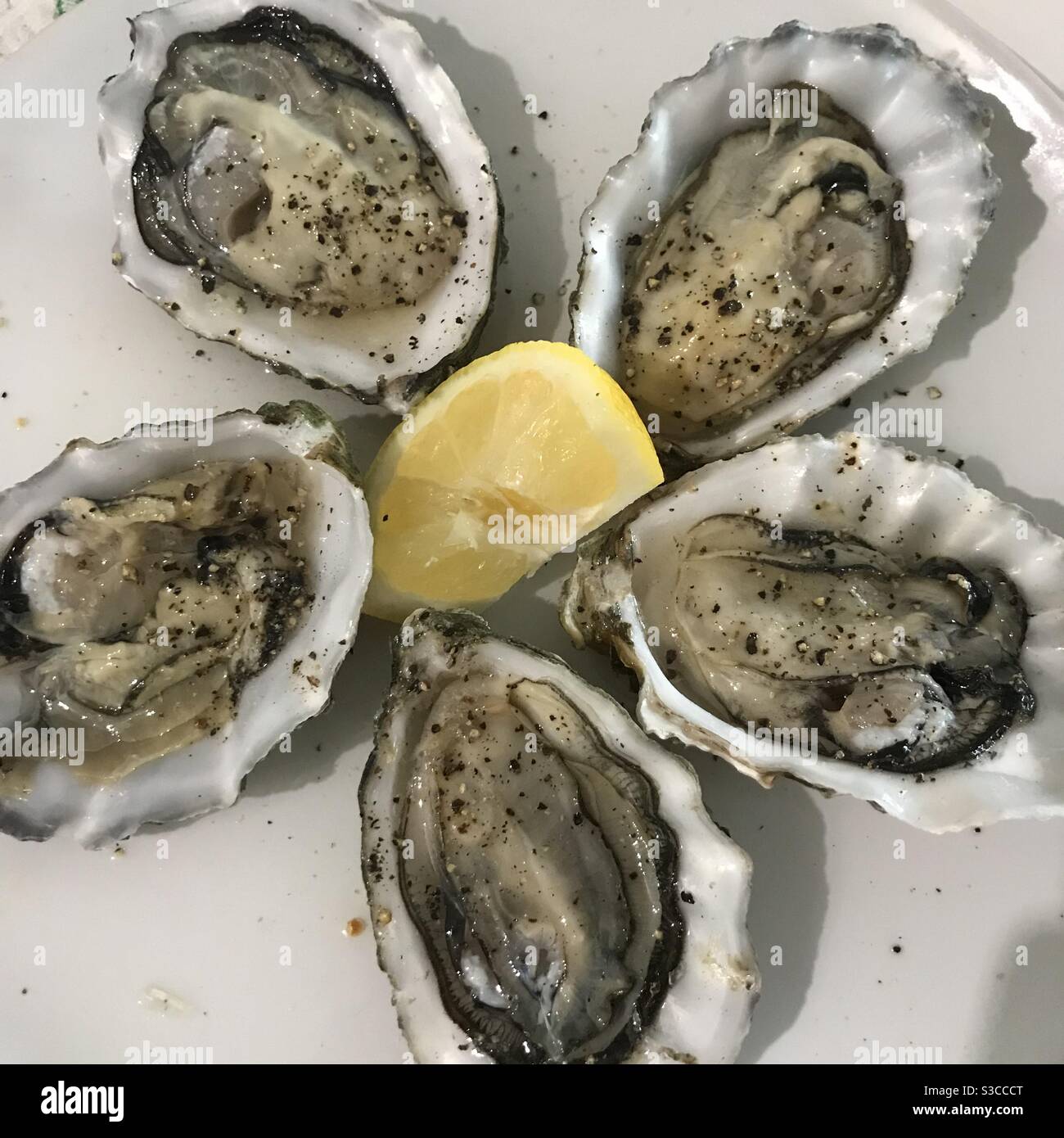 Oysters in shells hires stock photography and images Alamy