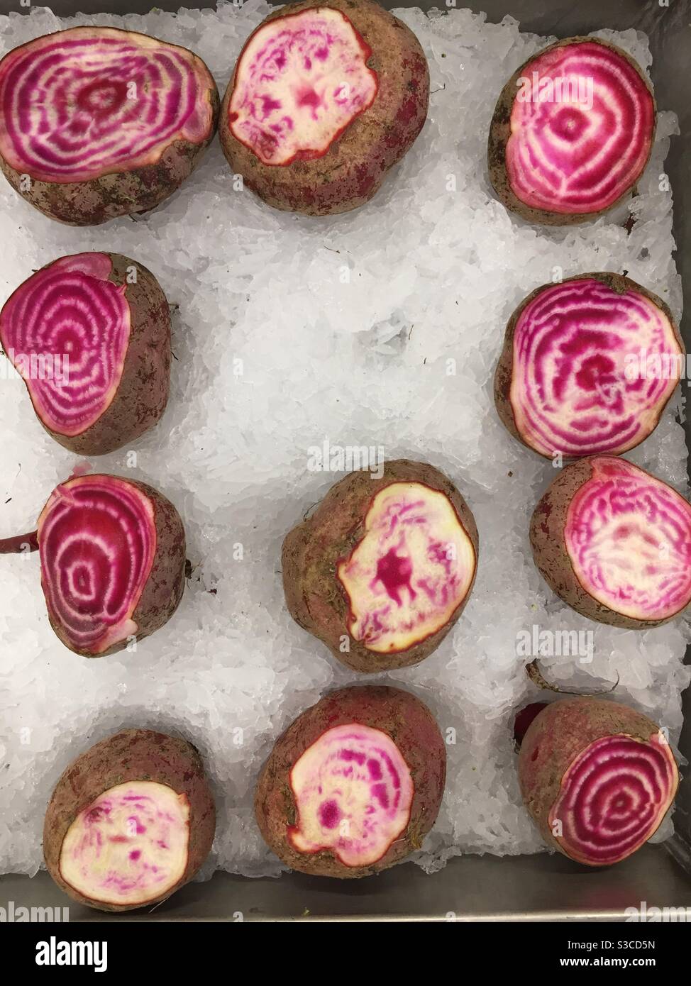 Chioggia beets sit in an ice bath on display at a grocery store. These sugar beets are naturally striped, but the color usually fades when the beets are cooked. - Smartphone Captured Stock Image