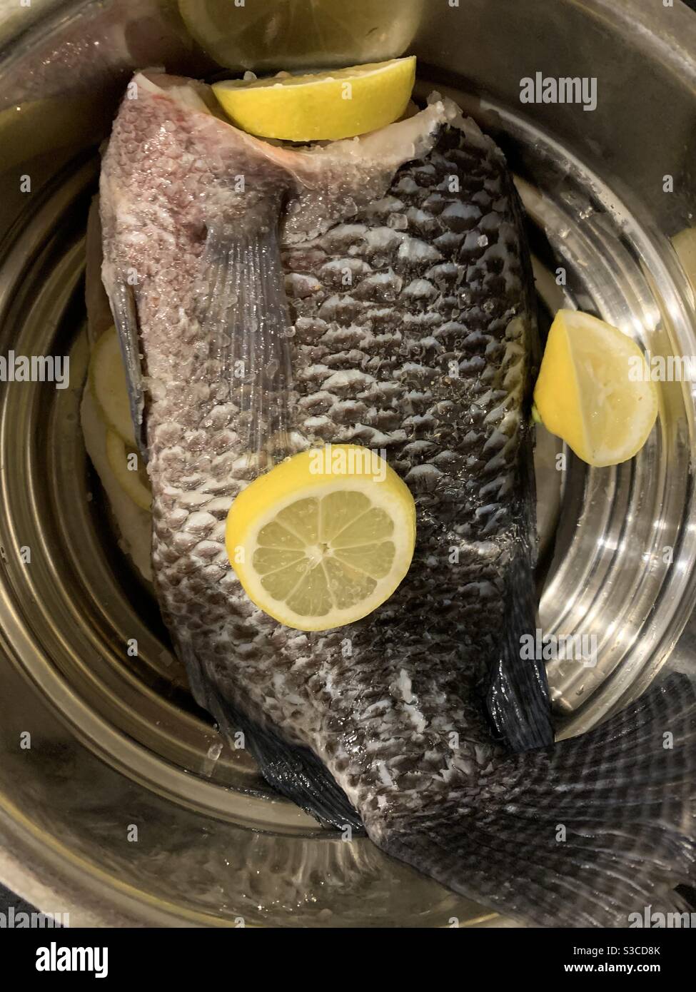Black Tilapia fish raw ready for steaming with sliced lemons in a