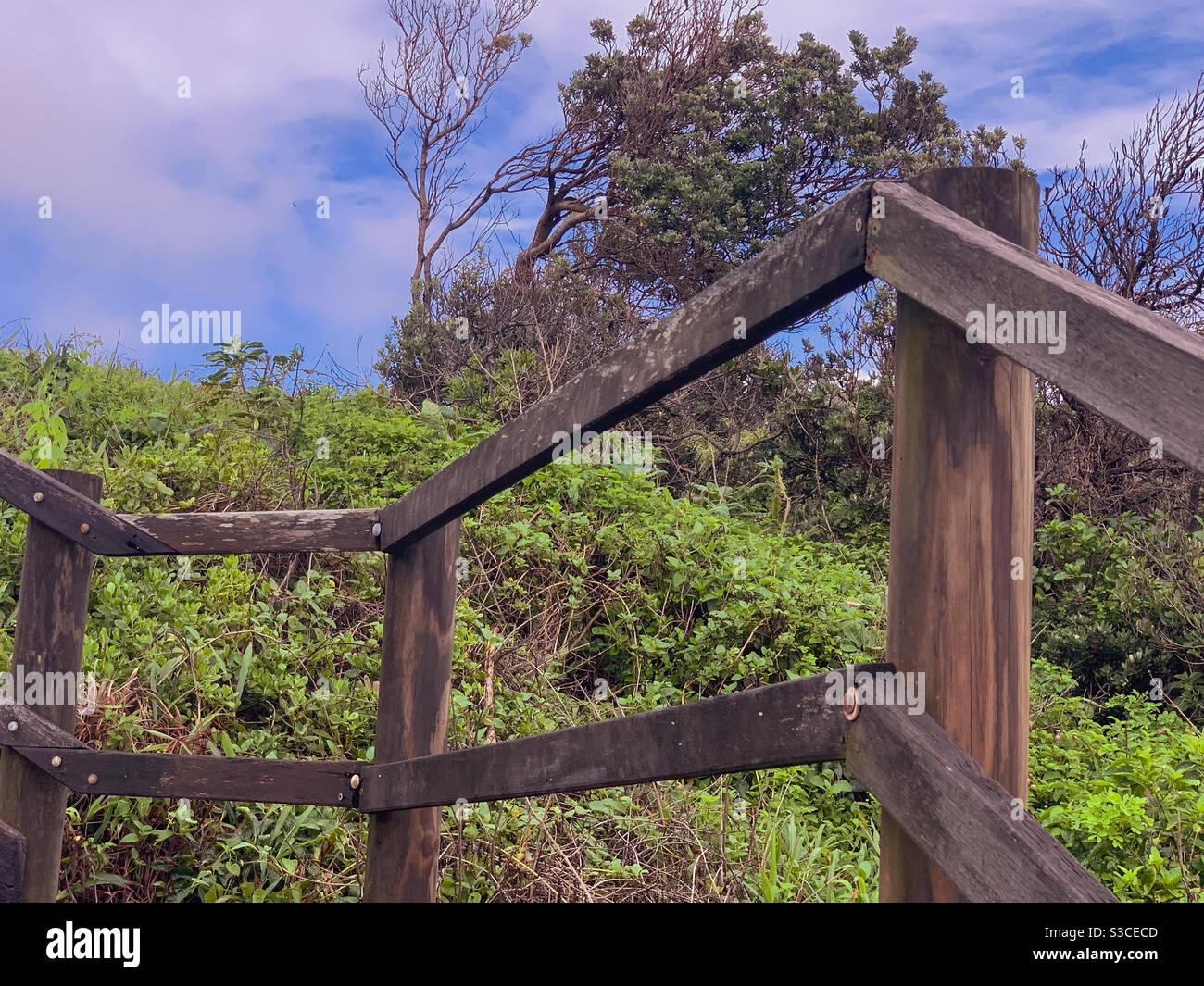 Outside, near the beach. Wooden handrail fence in a natural setting of ...