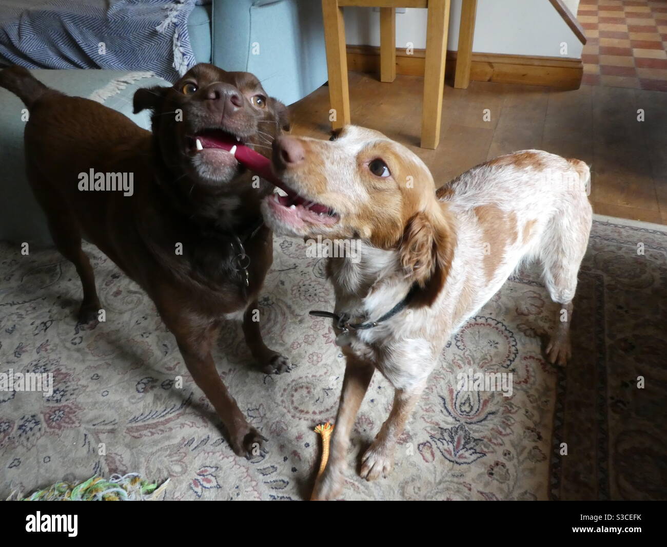 Toy fight not gun not sword hi-res stock photography and images - Alamy