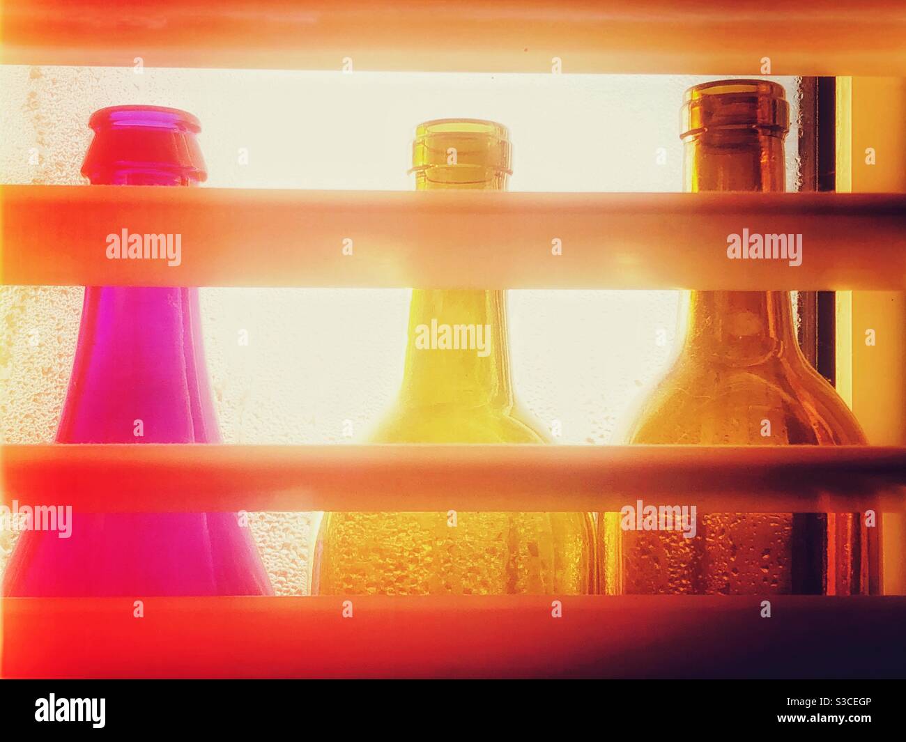 Three coloured empty wine bottles in a window with sunny backlighting Stock Photo